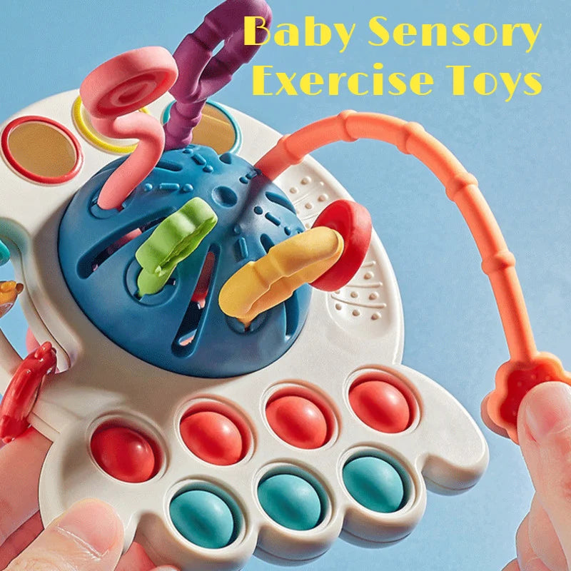 Baby Montessori Sensory Development Toys